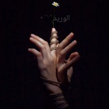 Telegram profile photo for الوريد🖤"