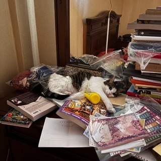Telegram profile photo for Распродажа вещичек📦