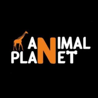 Telegram profile photo for Animal Planet