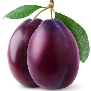 Telegram profile photo for Сливы маркетинга