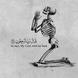 Telegram profile photo for quran.44
