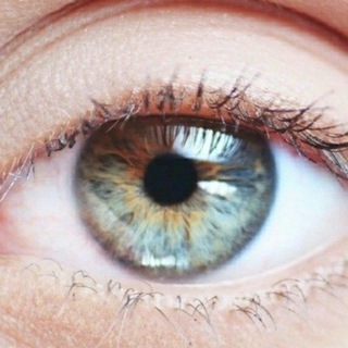 Telegram profile photo for DAMS Ophthalmology@Dr Sourabh Sharma
