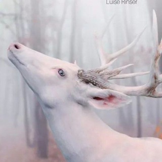 Telegram profile photo for Bedeutung weiße Tiere by Sole