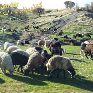 Telegram profile photo for دامداران وکشاورزان کوردستان