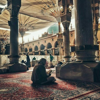 Telegram profile photo for مُتجلِّد!