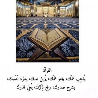 Telegram profile photo for مسابقات دينية قرآن🌿حديث فتاوى🫀🕊
