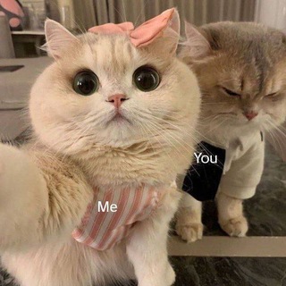 Telegram profile photo for 𝓦𝓲𝓽𝓱𝓲𝓷 𝓜𝓮