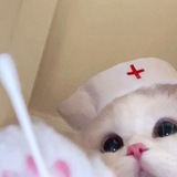 Telegram profile photo for attractive word