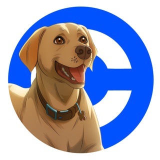 Telegram profile photo for Bobby on Base