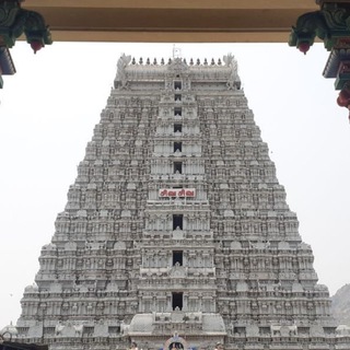 Telegram profile photo for TVmalai.in