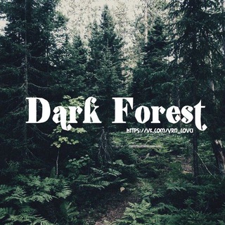 Telegram profile photo for DarkForest🌒