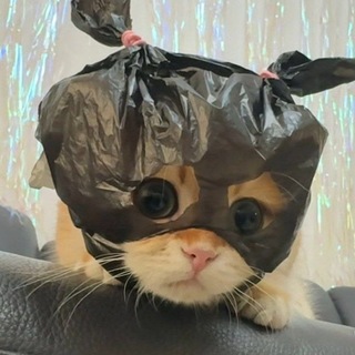 Telegram profile photo for Daget Kucing 🐈