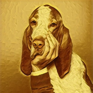 Telegram profile photo for Собака Павловна | Рефлексы богатых людей