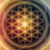 Telegram profile photo for 1318