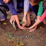 Telegram profile photo for خانه ایرانی لبخط