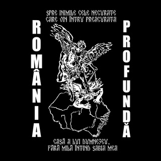Telegram profile photo for România Profundă
