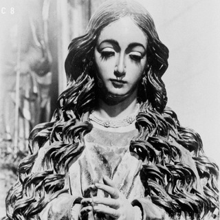 Telegram profile photo for ClassicNymph