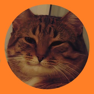 Telegram profile photo for Кискаъ God