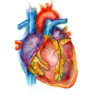 Telegram profile photo for 🌡💉🩺📚پسر کنکوری 👨⚕️🔬🦠💊