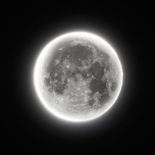 Telegram profile photo for Почему вы здесь