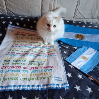 Telegram profile photo for Аргентинские записки 🇦🇷