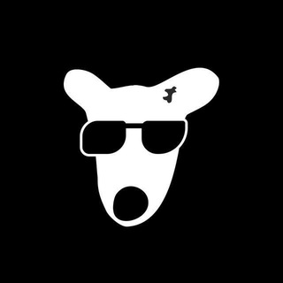 Telegram profile photo for اخبار ایرداپ و VPN