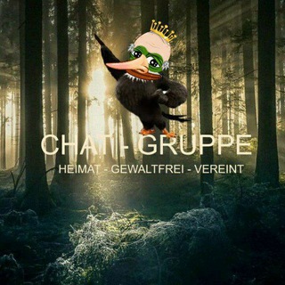 Telegram group profile photo for Chat Gruppe - TEAM HEIMAT Gewaltfrei Vereint