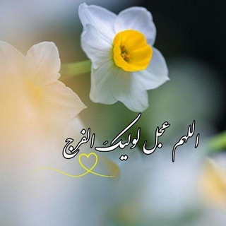 Telegram profile photo for 💚ڪانال یـ۳۱۳ـار امام زمان(عج)💚