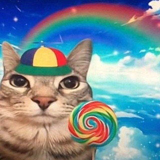Telegram profile photo for Котики на евредей