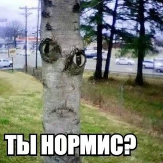 Telegram profile photo for *.✧ mrtrppr адоптапле