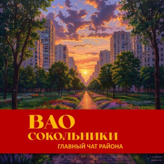Telegram group profile photo for ВАО • Сокольники | Главный чат района