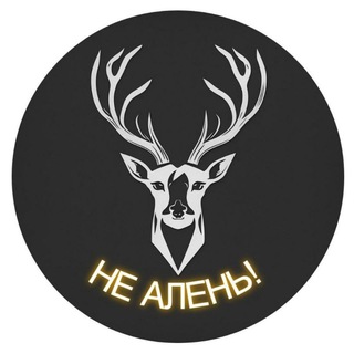 Telegram profile photo for НЕ АЛЕНЬ!