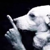 Telegram profile photo for Glitchor house
