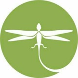 Telegram profile photo for La libertija