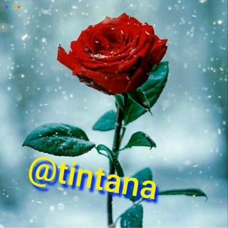 Telegram profile photo for از اشک تا شوق