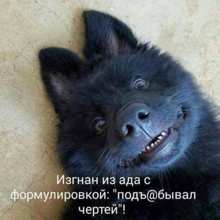 Telegram profile photo for Антипсихолог