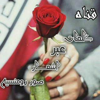 Telegram profile photo for نبض اليمن 🇾🇪
