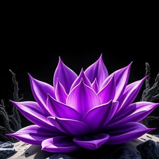 Telegram profile photo for Чикис и суккулентная грядка