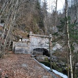 Telegram profile photo for Salzburg Natur