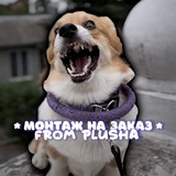 Telegram profile photo for •авы от плюшки•