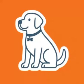 Telegram profile photo for charlie.in.ua