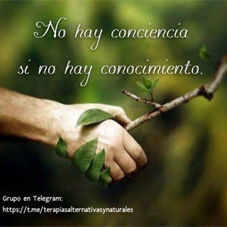 Telegram group profile photo for Herbolaria y terapias naturales