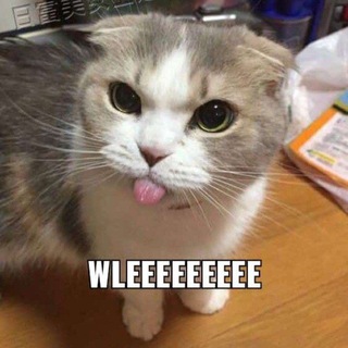 Telegram profile photo for dipakentuttt