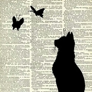 Telegram profile photo for BlackCat