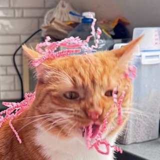 Telegram profile photo for все любят чипсики и горошки🫛🌮