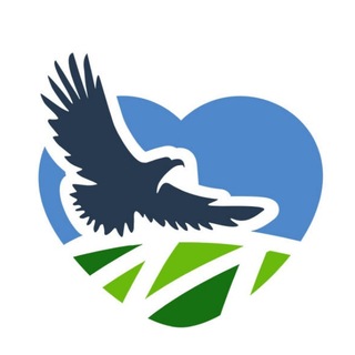 Telegram profile photo for МОЗЫРЬ NEWS