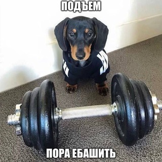 Telegram profile photo for scarpetka's gamedev_struggles