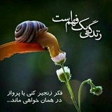 Telegram profile photo for Management ganjineh