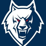 Telegram profile photo for Юный Фанат ХК ,,Нефтехимик"🐺