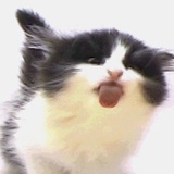 Telegram profile photo for ттррешовый дне